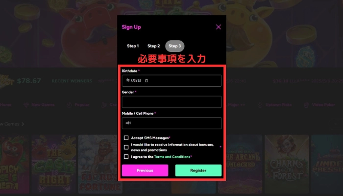 登録画面(3/3)