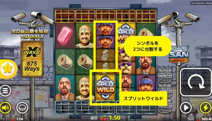 スプリットワイルド