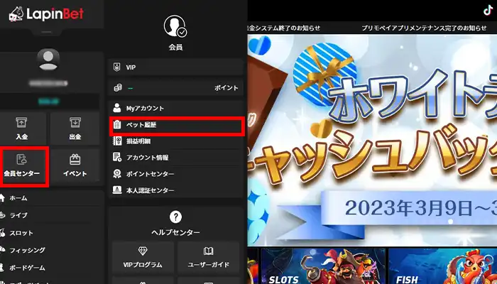 ラピンベットベット