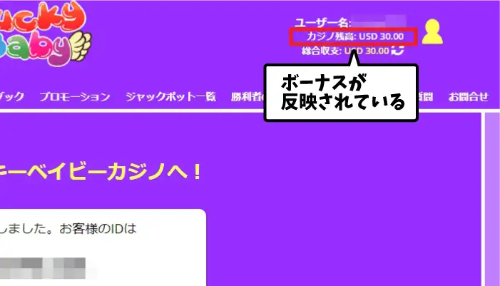 ラッキーベイビーカジノの登録方法08