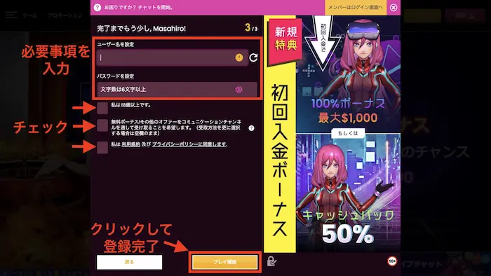 ログイン情報設定画面：ラッキーニッキー入金不要ボーナスの登録方法